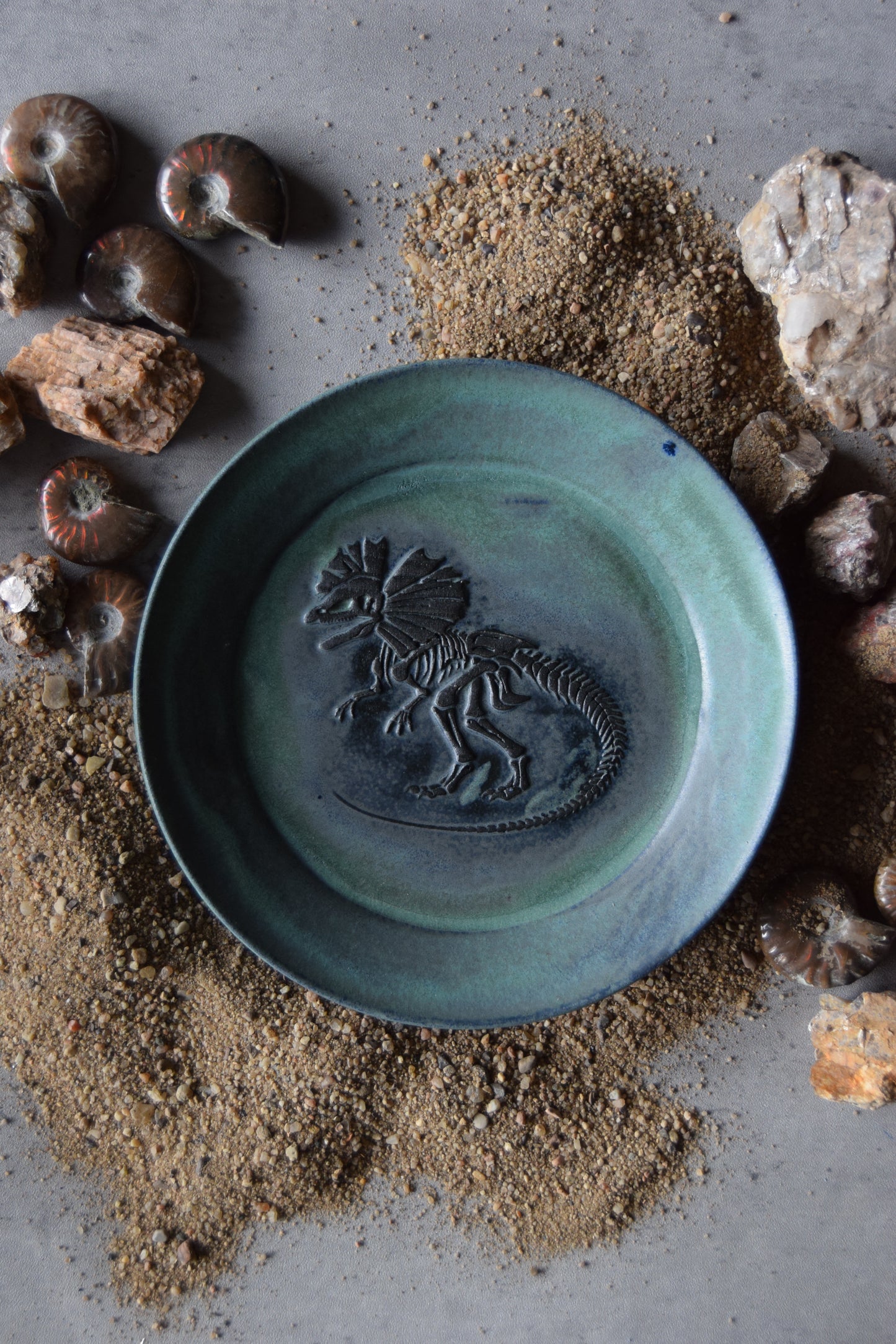 Fossil Trinket Plate 13