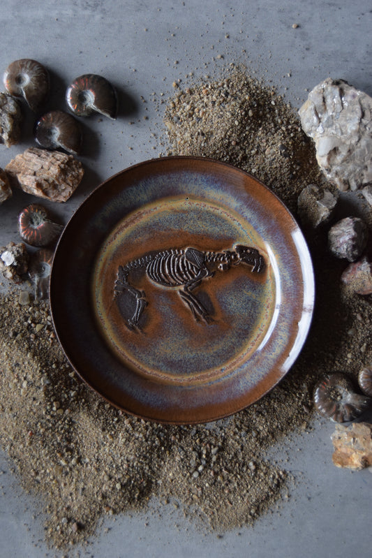 Fossil Trinket Plate 21