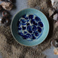 Fossil Trinket Plate 23