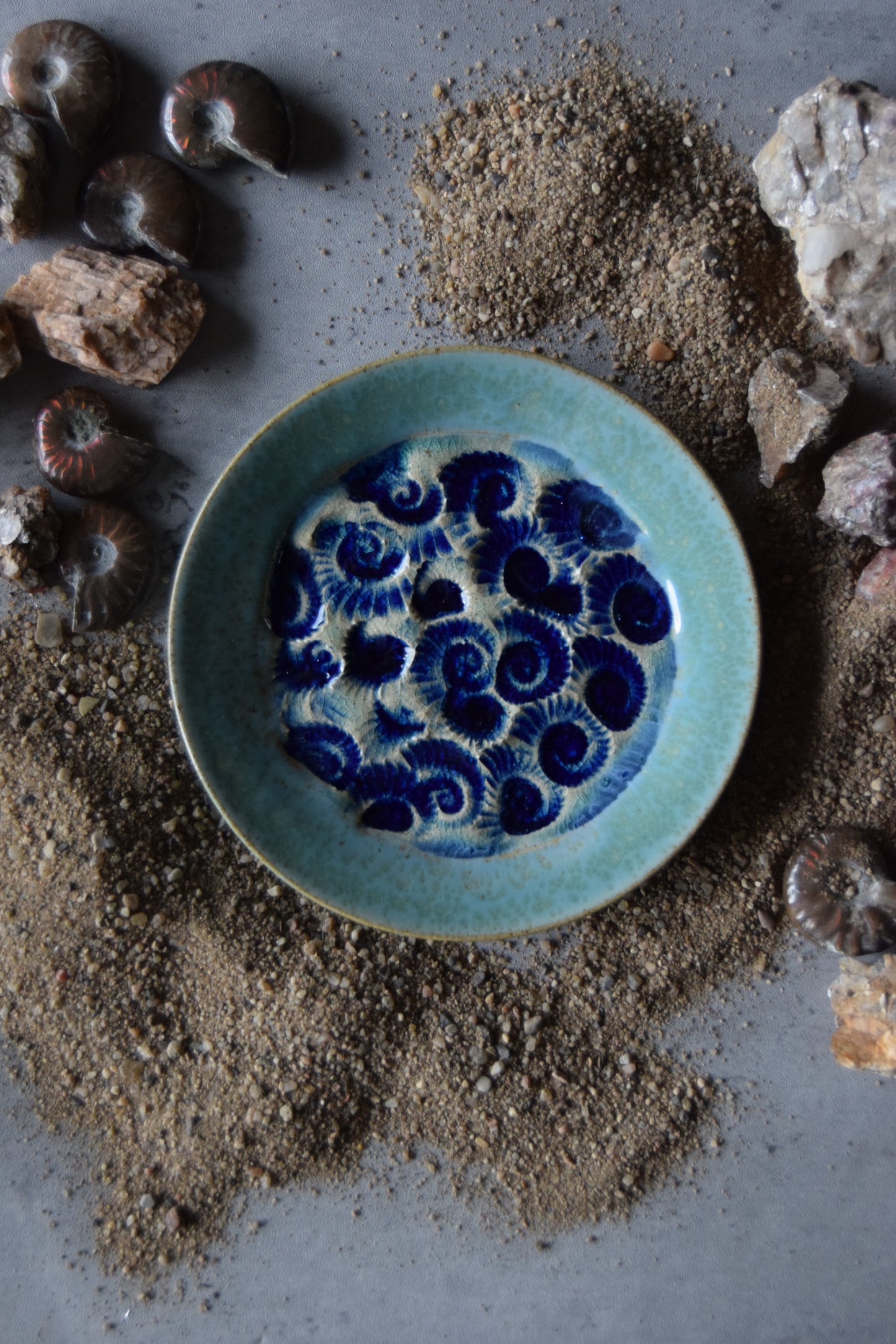 Fossil Trinket Plate 23