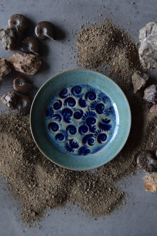 Fossil Trinket Plate 24