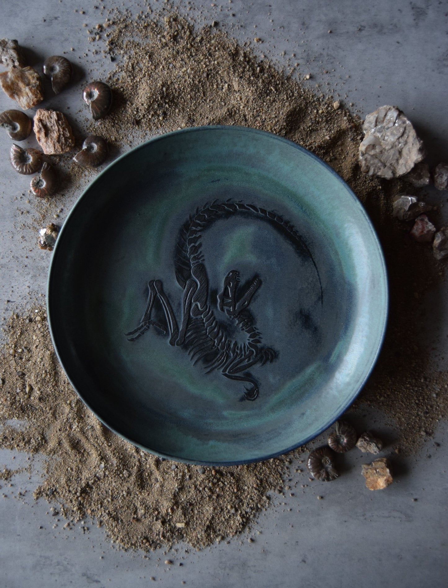 Large Fossil Plate 01