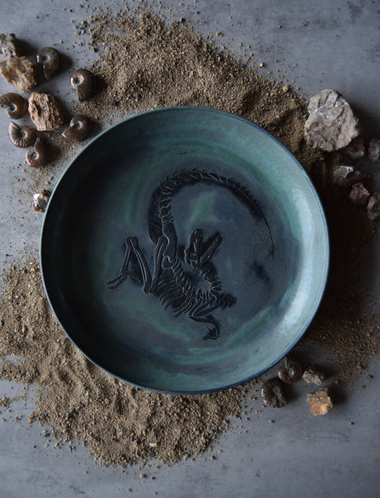 Large Fossil Plate 01