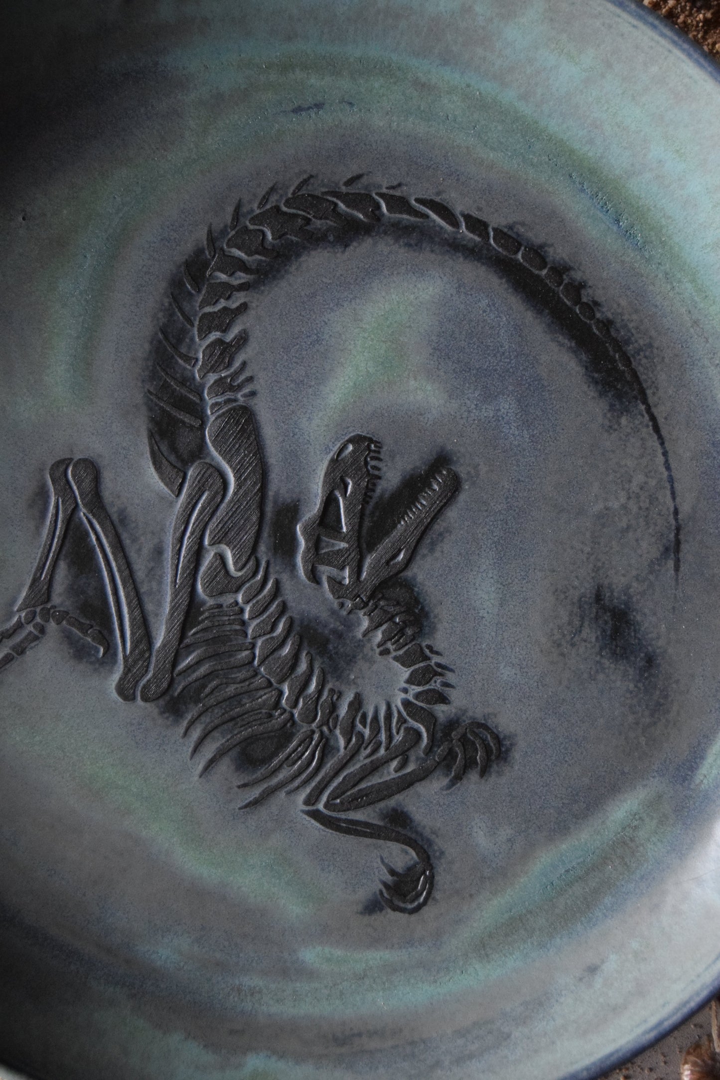 Large Fossil Plate 01