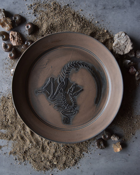 Large Fossil Plate 02