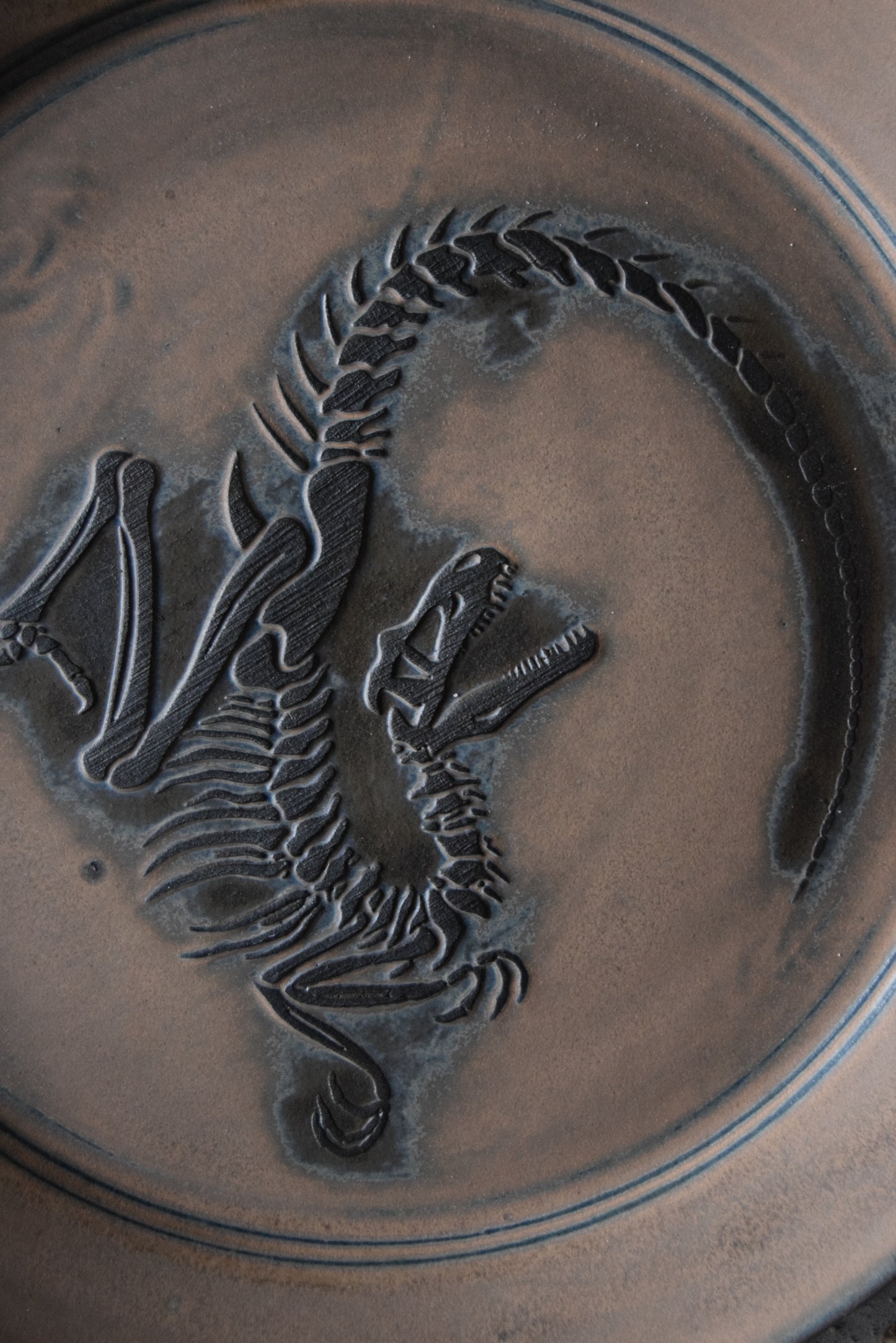 Large Fossil Plate 02