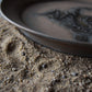 Large Fossil Plate 02