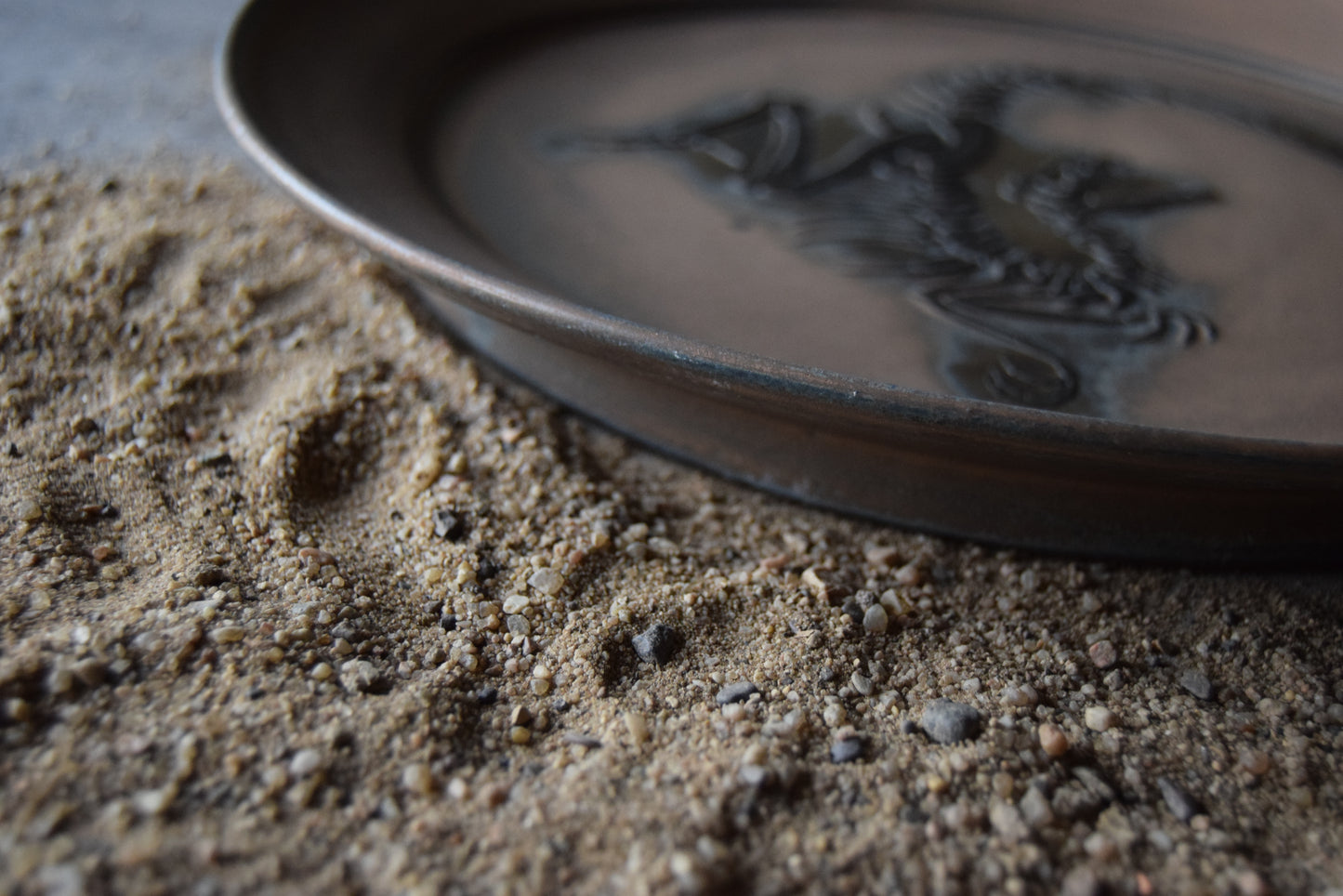 Large Fossil Plate 02
