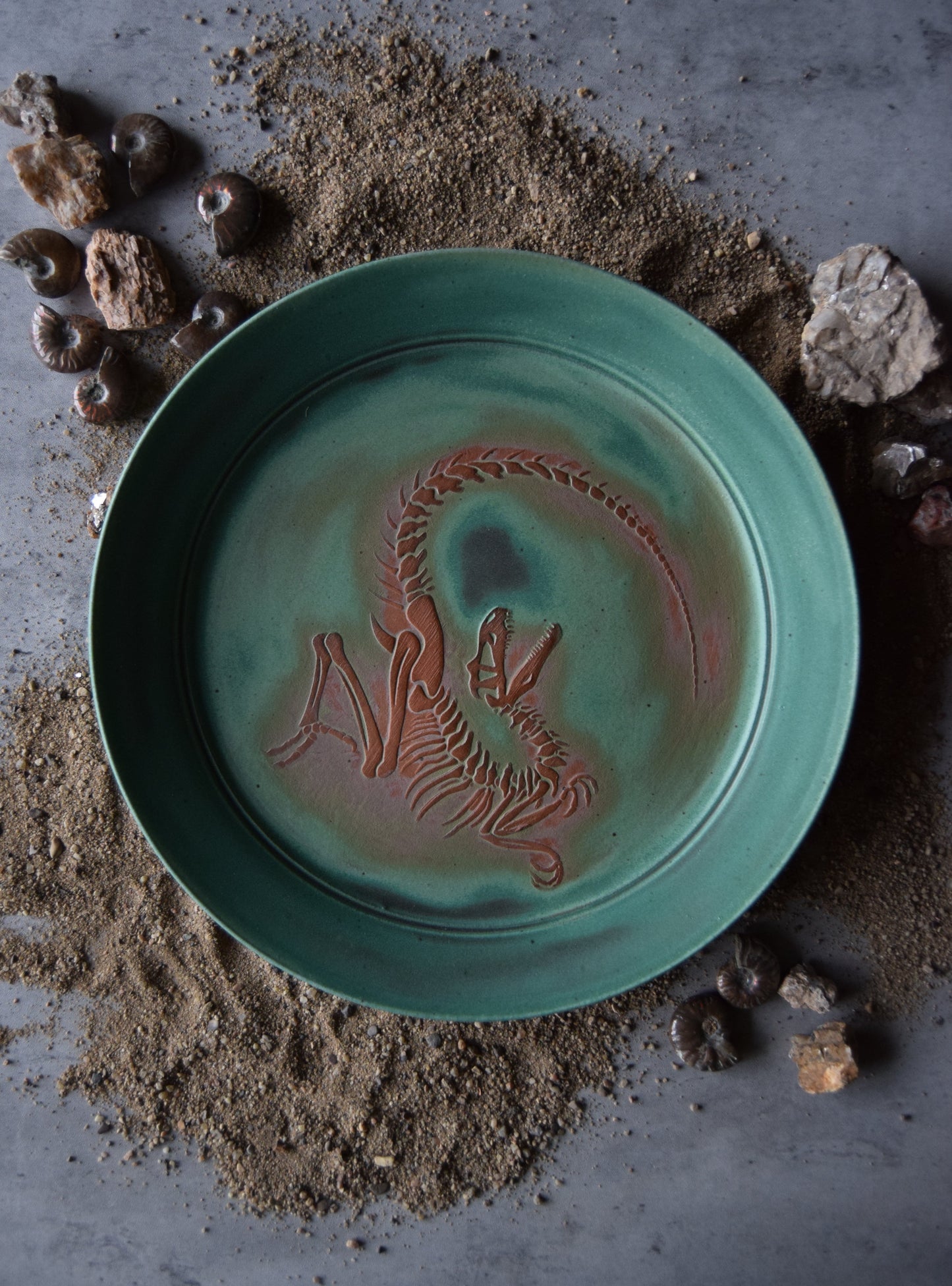 Large Fossil Plate 03