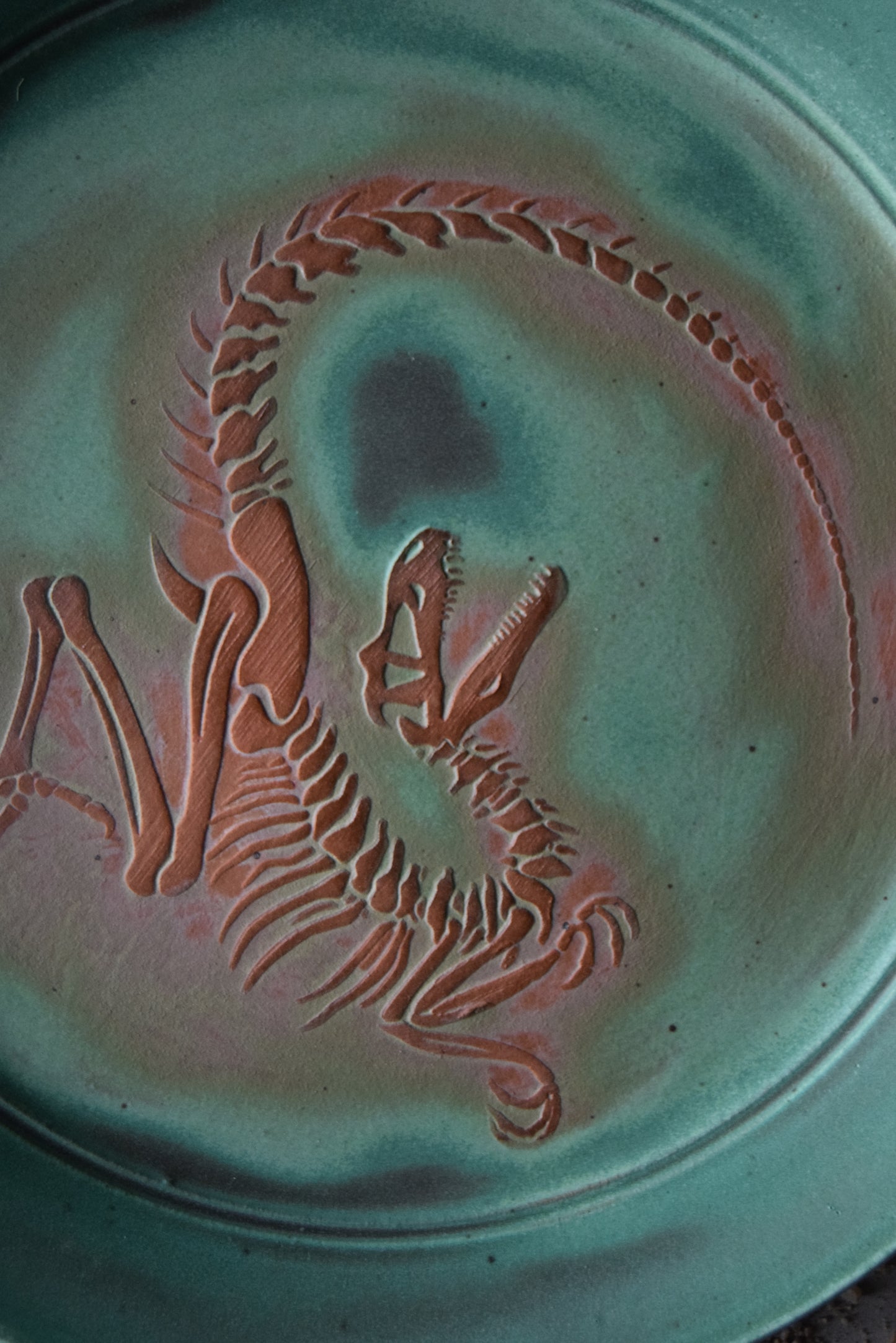 Large Fossil Plate 03