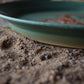 Large Fossil Plate 03
