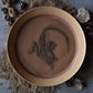 Large Fossil Plate 04