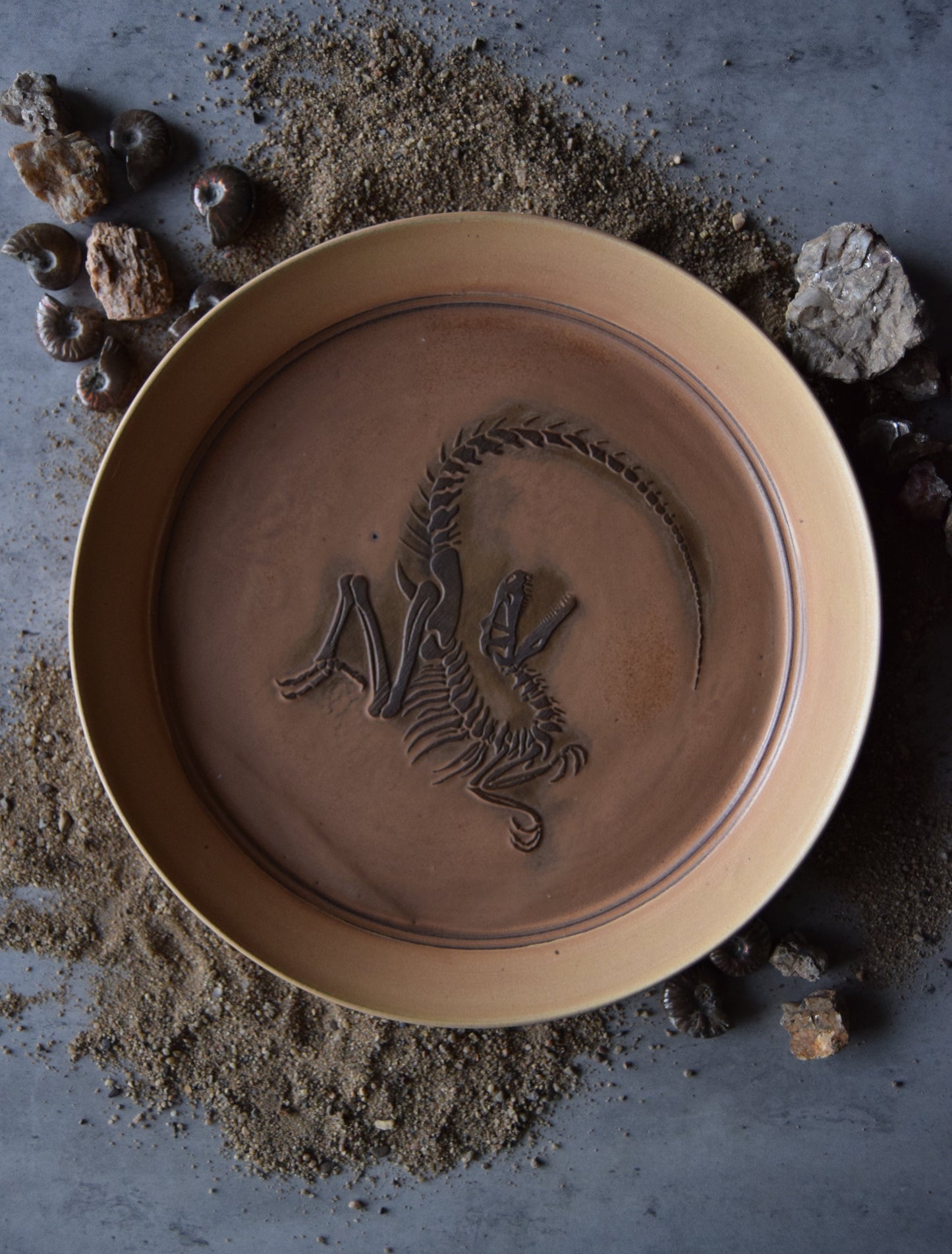 Large Fossil Plate 04