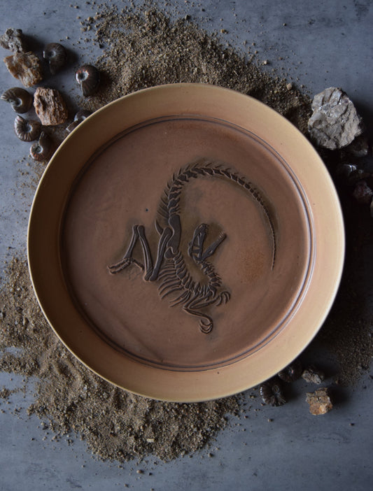 Large Fossil Plate 04