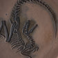 Large Fossil Plate 04