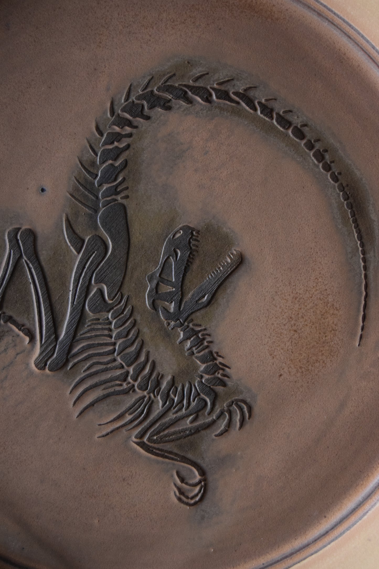 Large Fossil Plate 04