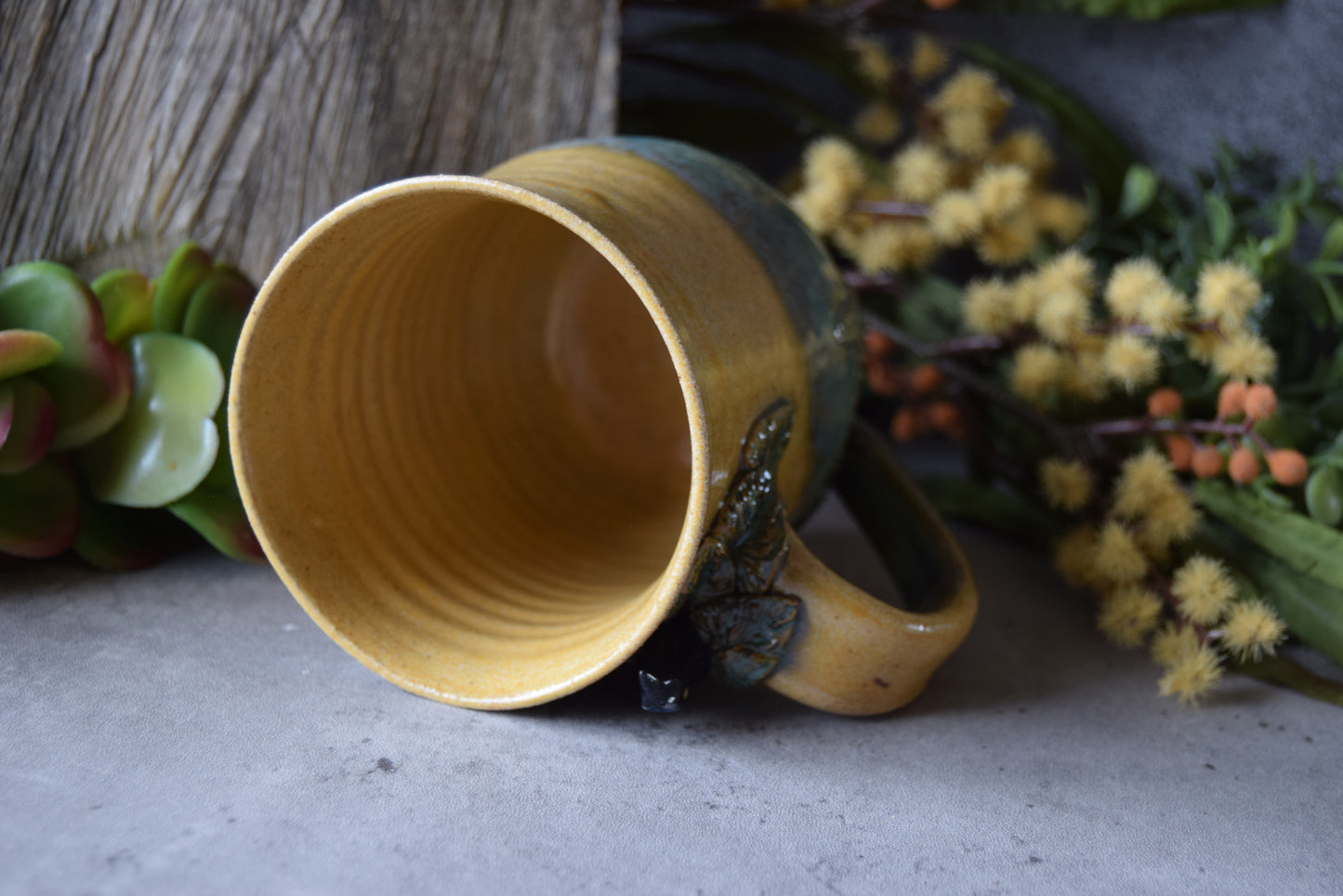 Wilson's Bird of Paradise Mug