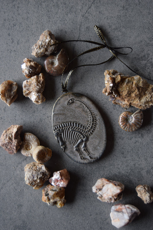 Fossil Ornament 10
