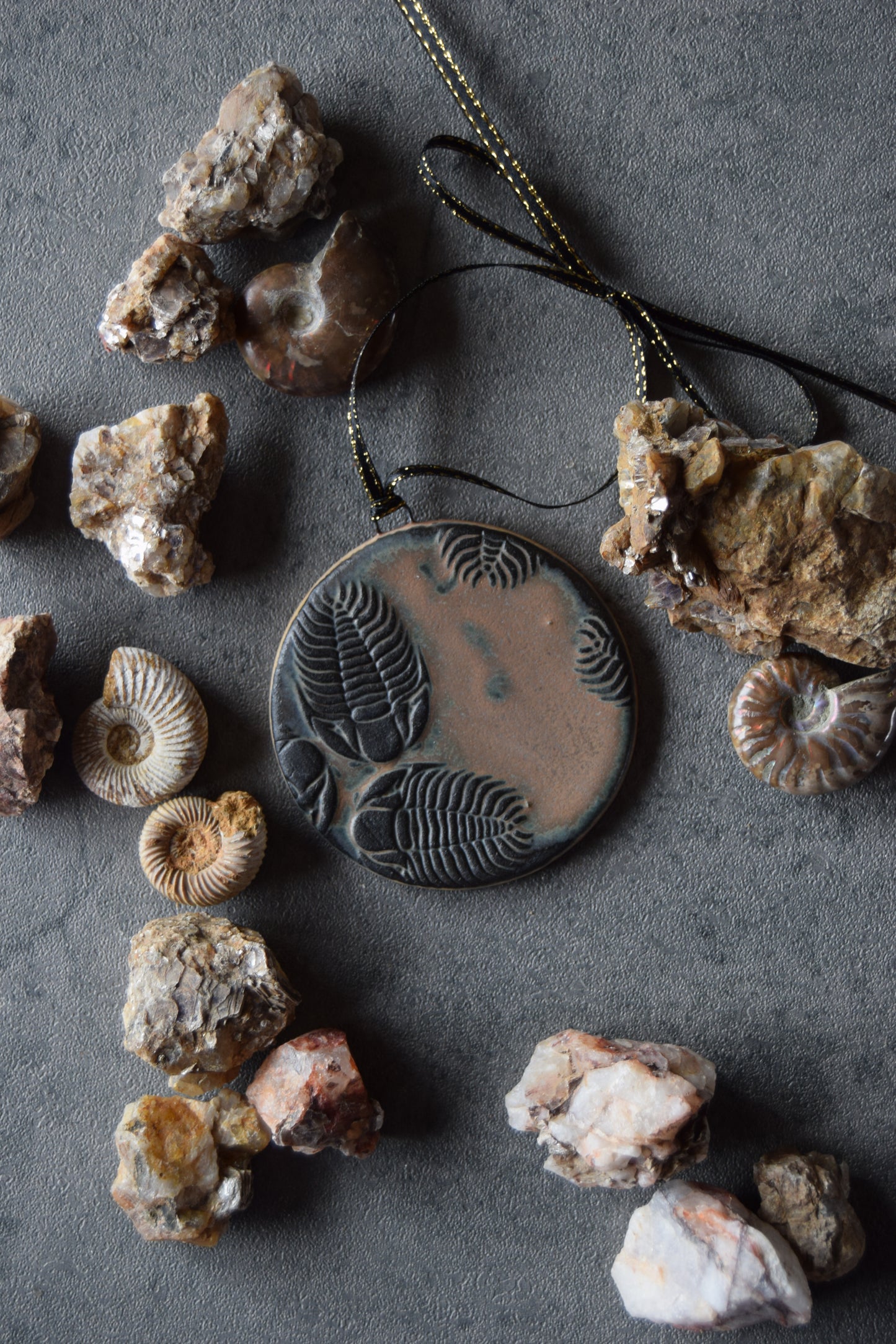 Fossil Ornament 22
