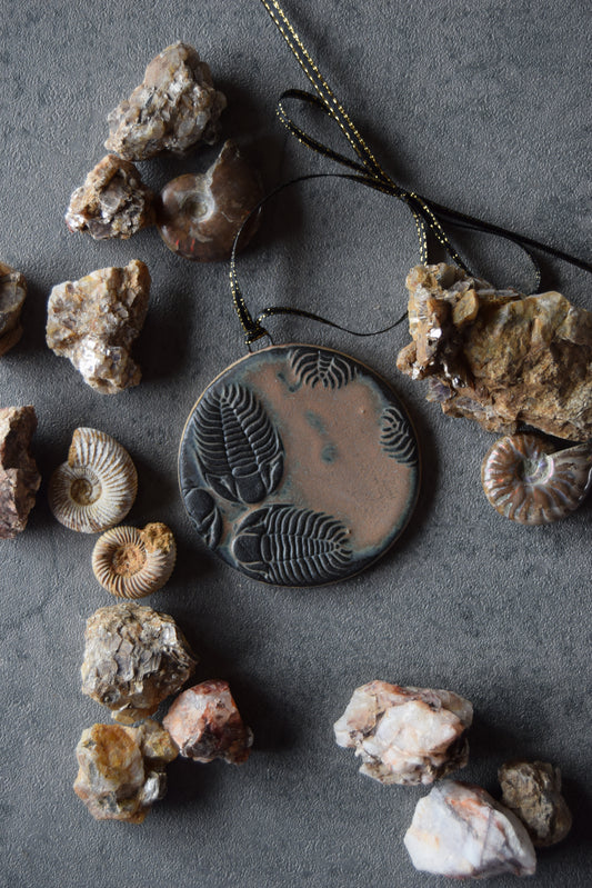 Fossil Ornament 22