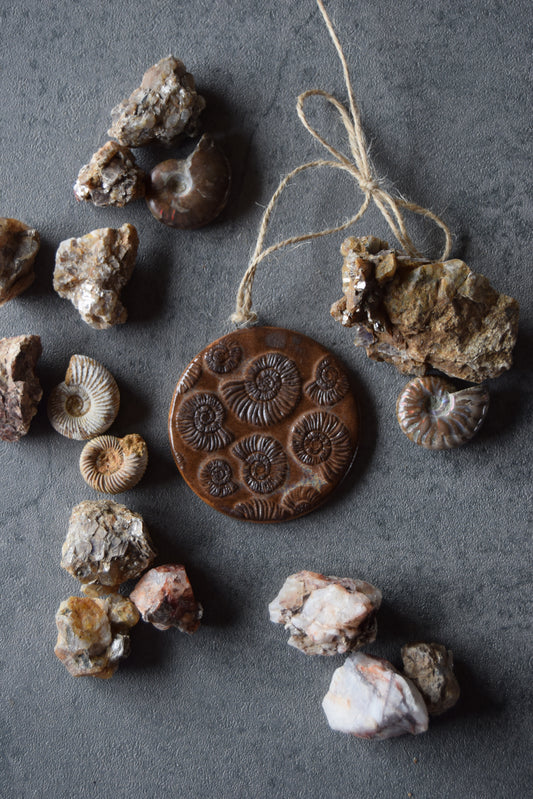 Fossil Ornament 23