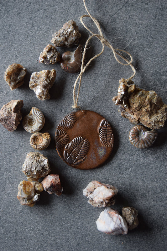 Fossil Ornament 24