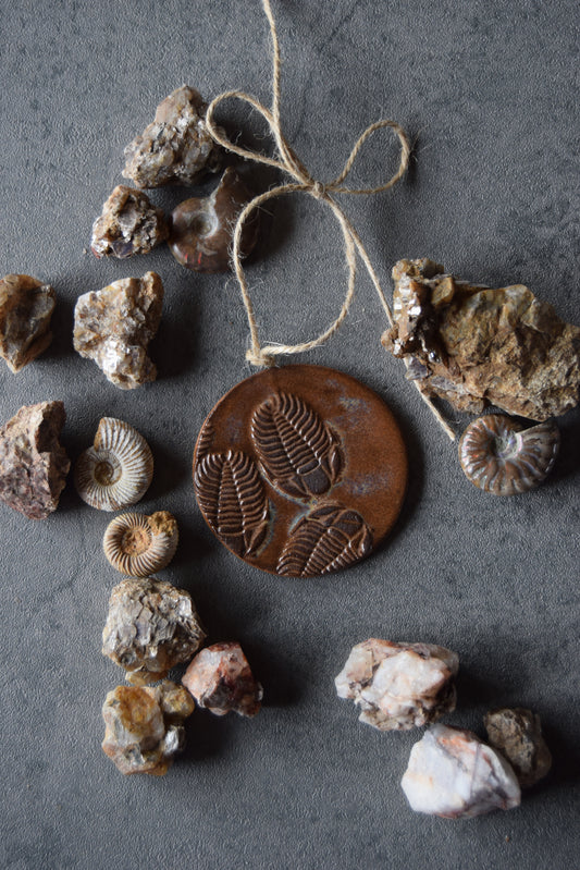 Fossil Ornament 26