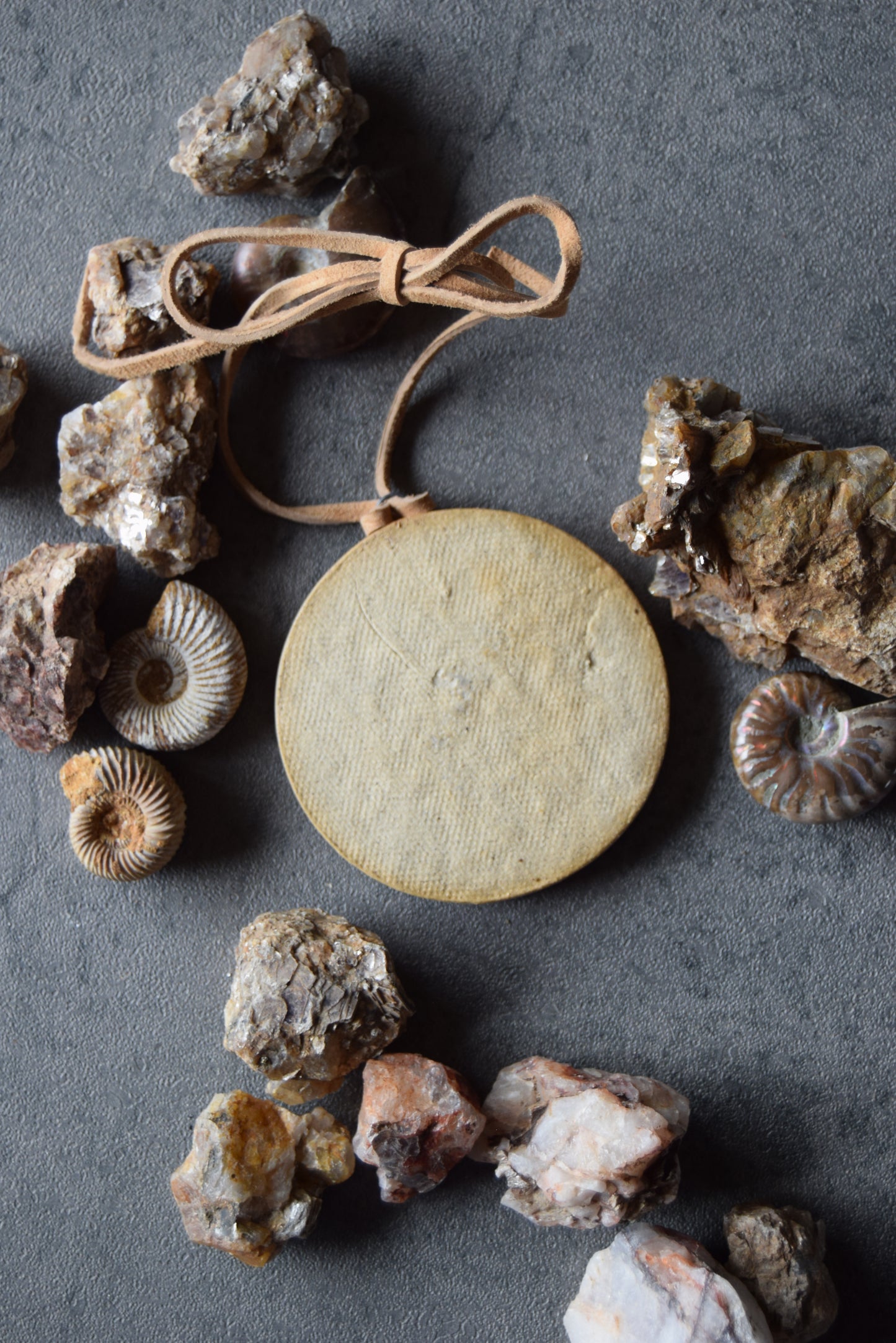 Fossil Ornament 28