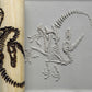 Z*Rodillo de Textura - Fósil de Velociraptor Retorcido