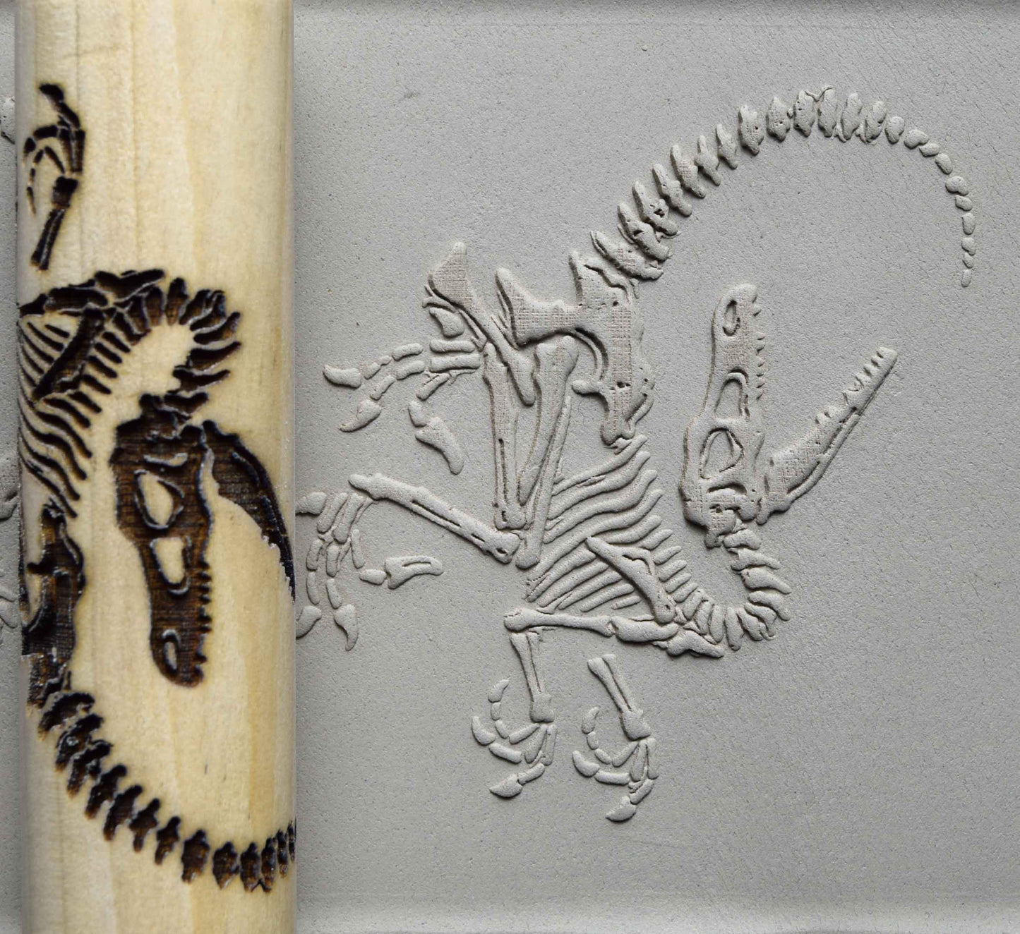Z*Rodillo de Textura - Fósil de Velociraptor Retorcido