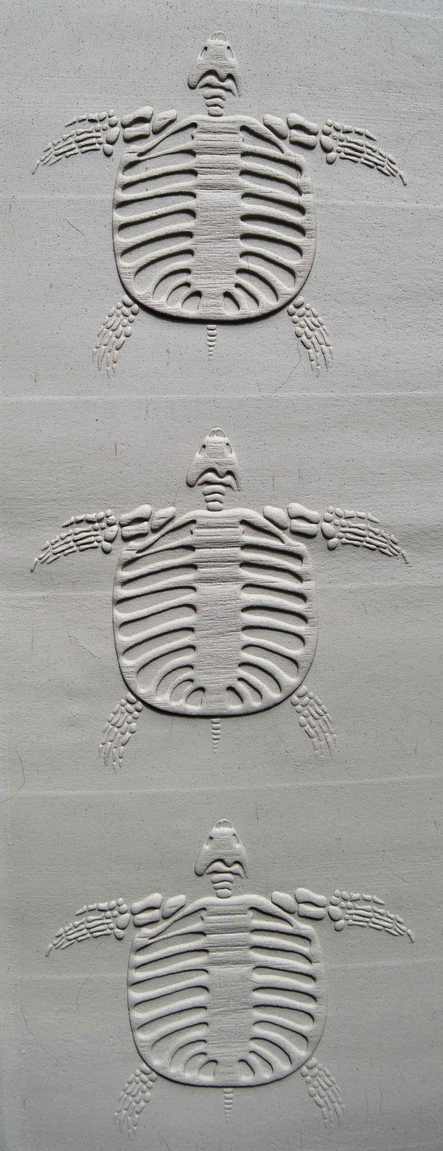 Z*Texture Roller - Fossile de tortue Archelon