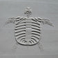 Z*Texture Roller - Fossile de tortue Archelon