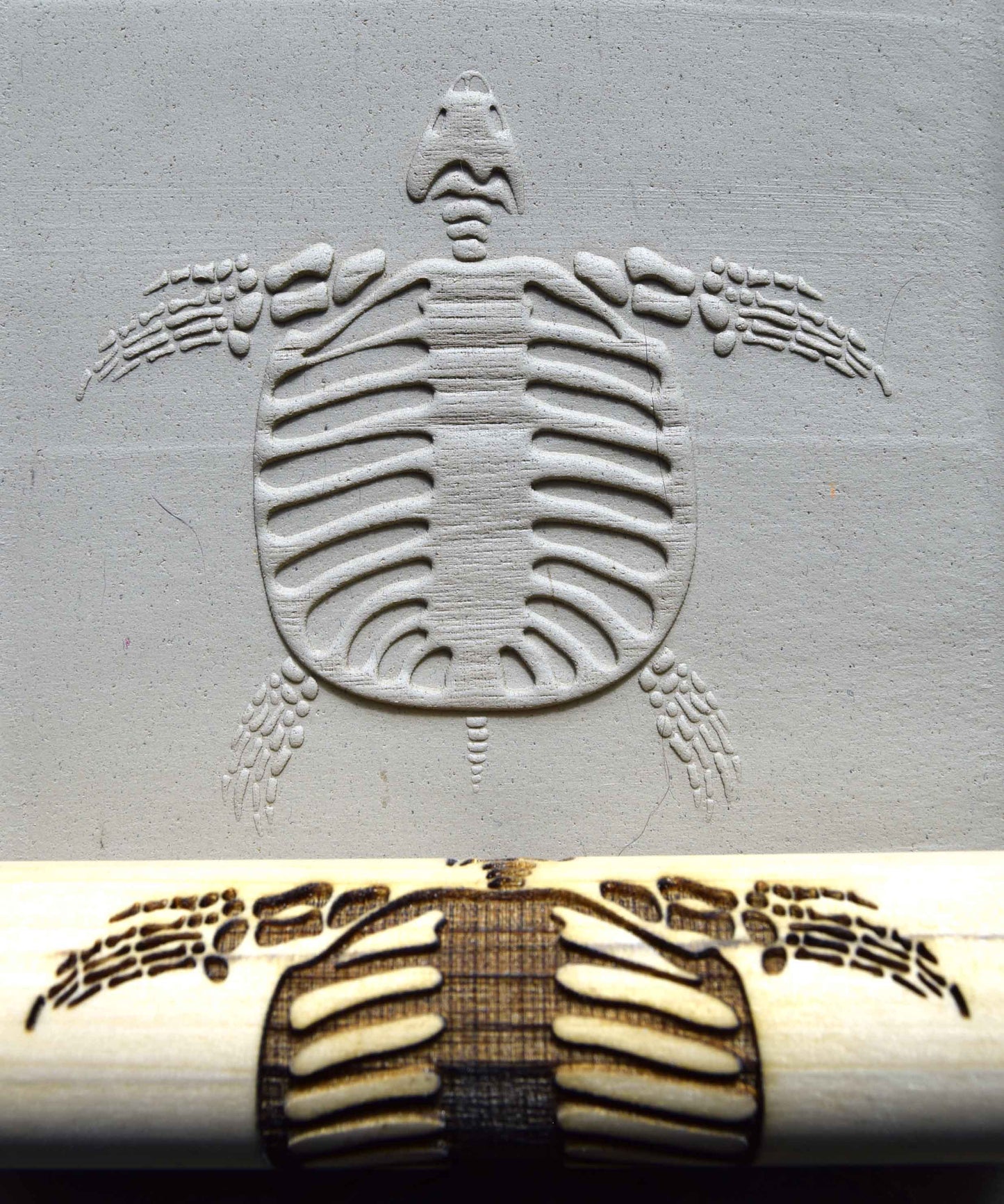 Z*Texture Roller - Fossile de tortue Archelon
