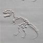 Z*Rodillo de textura - Fósil de Tyrannosaurus 2