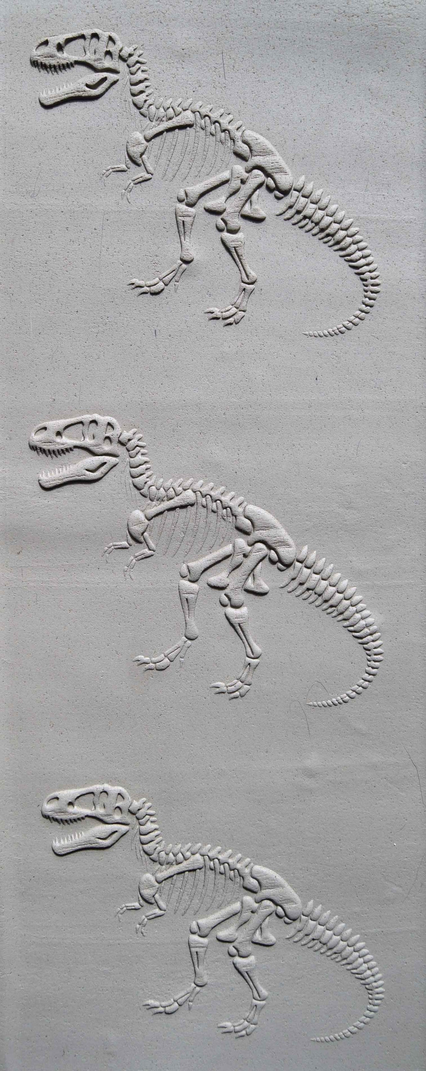 Z*Rodillo de textura - Fósil de Tyrannosaurus 2