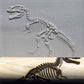 Z*Rodillo de textura - Fósil de Tyrannosaurus 2