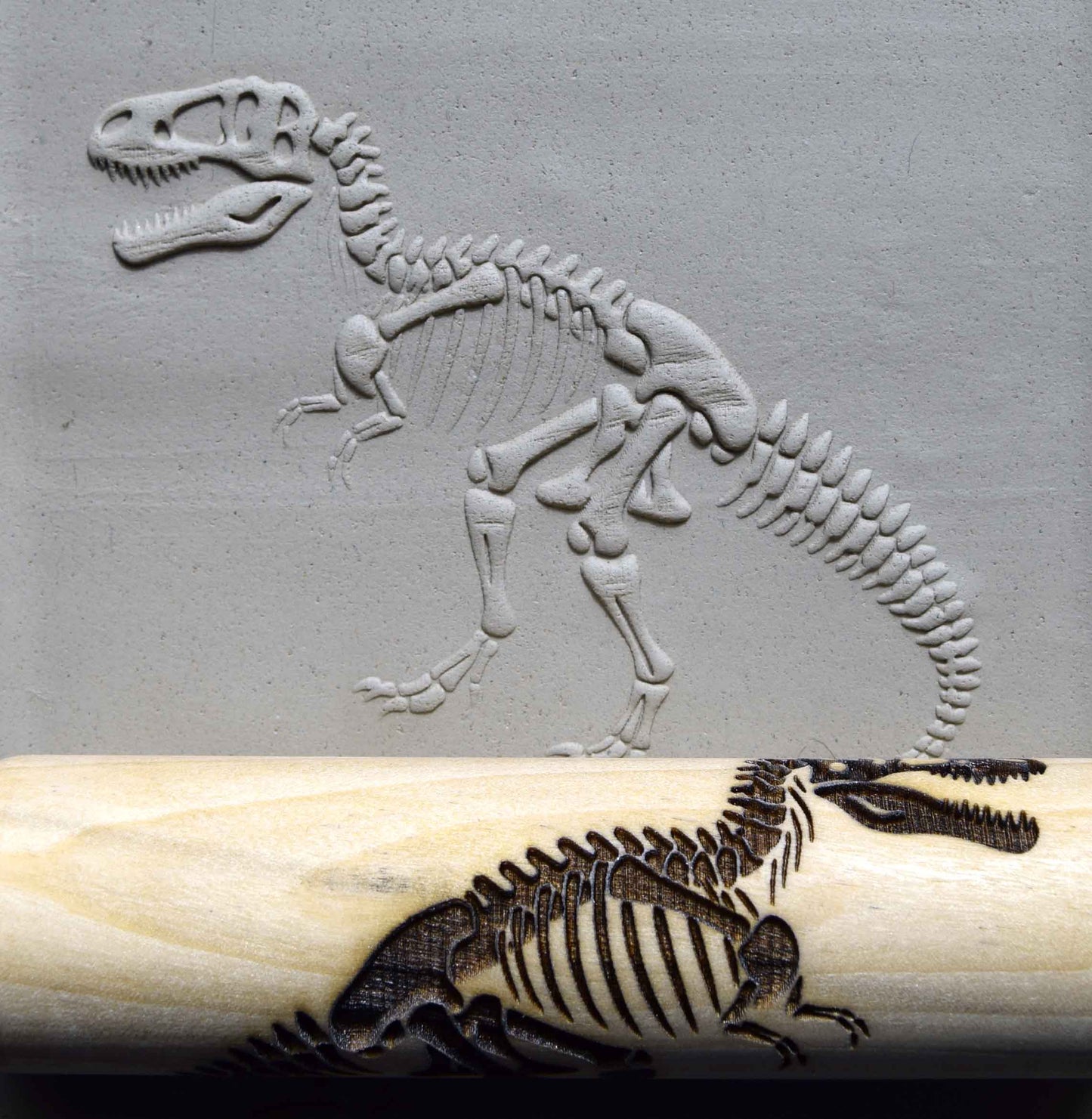 Z*Rodillo de textura - Fósil de Tyrannosaurus 2