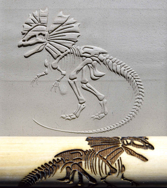 Z*Rodillo de textura - Fósil de Dilophosaurus (con cresta)