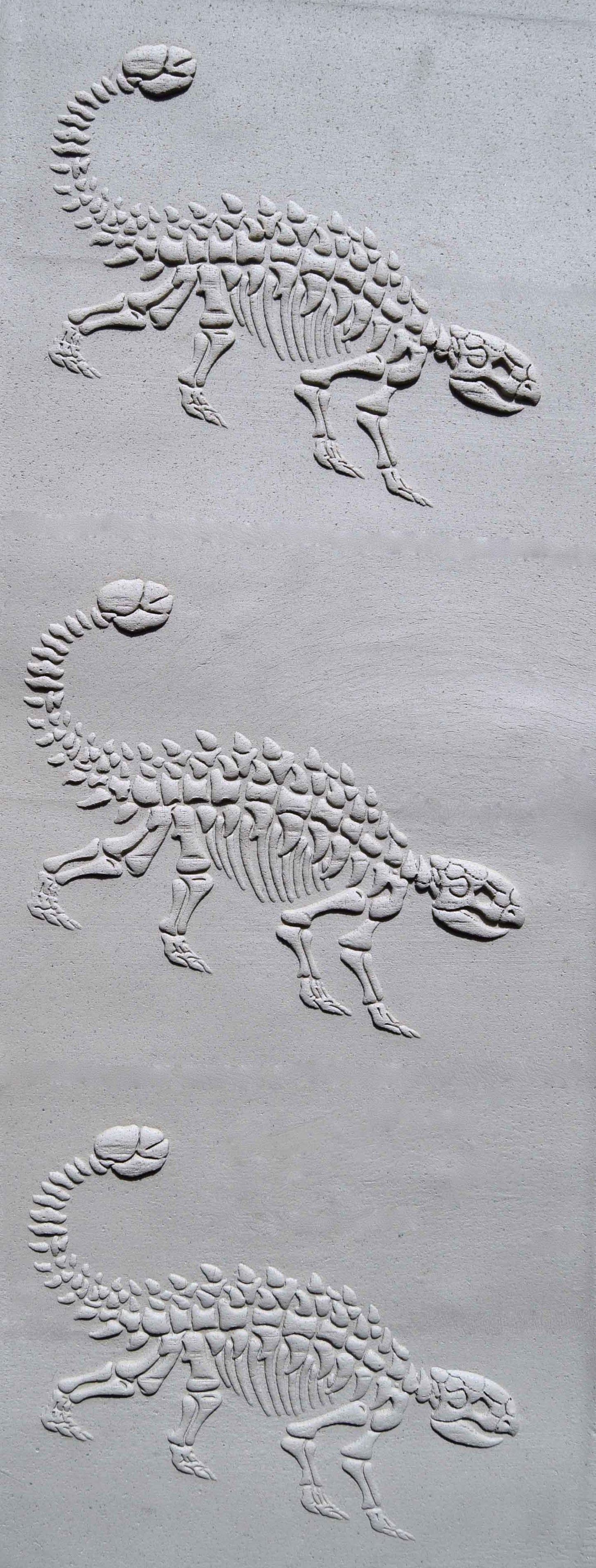 Rodillo de textura Z* - Fósil de anquilosaurio