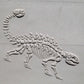 Rodillo de textura Z* - Fósil de anquilosaurio