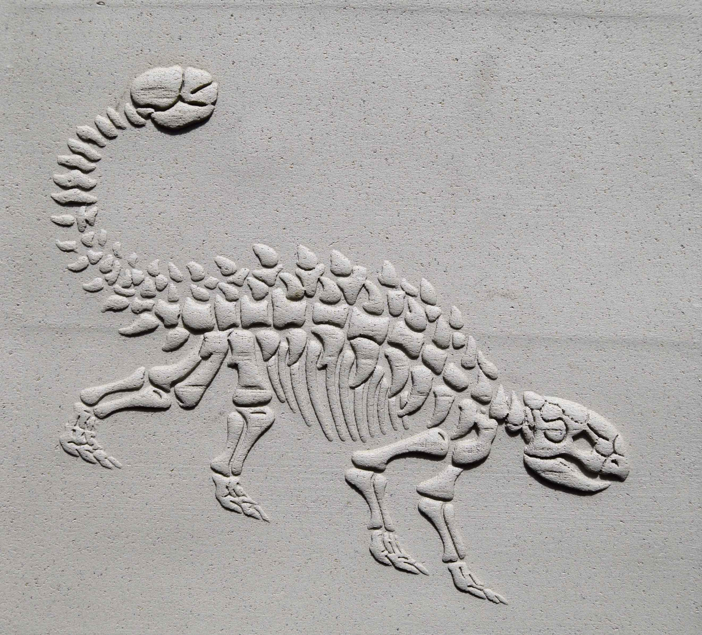 Rodillo de textura Z* - Fósil de anquilosaurio