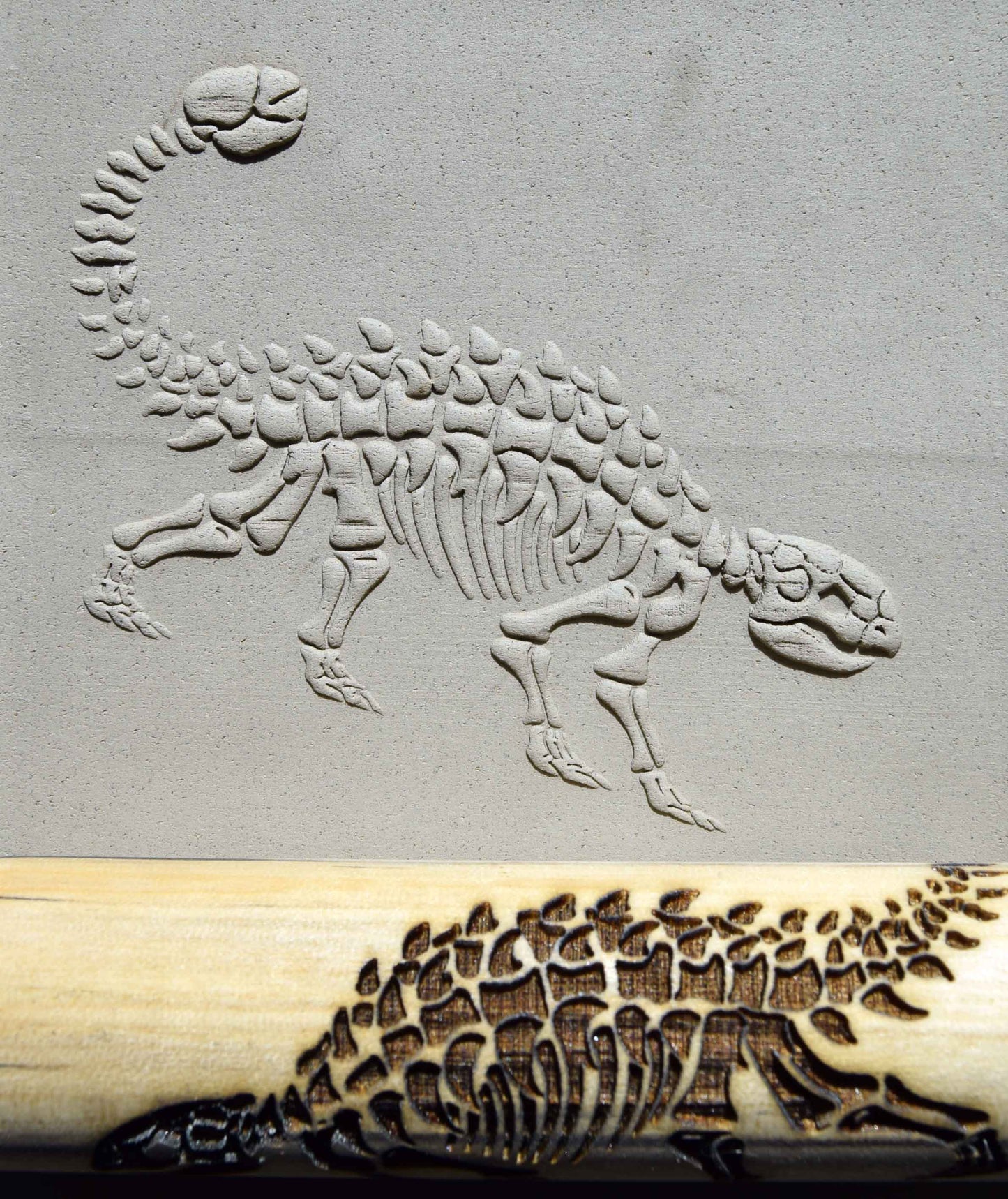 Rodillo de textura Z* - Fósil de anquilosaurio