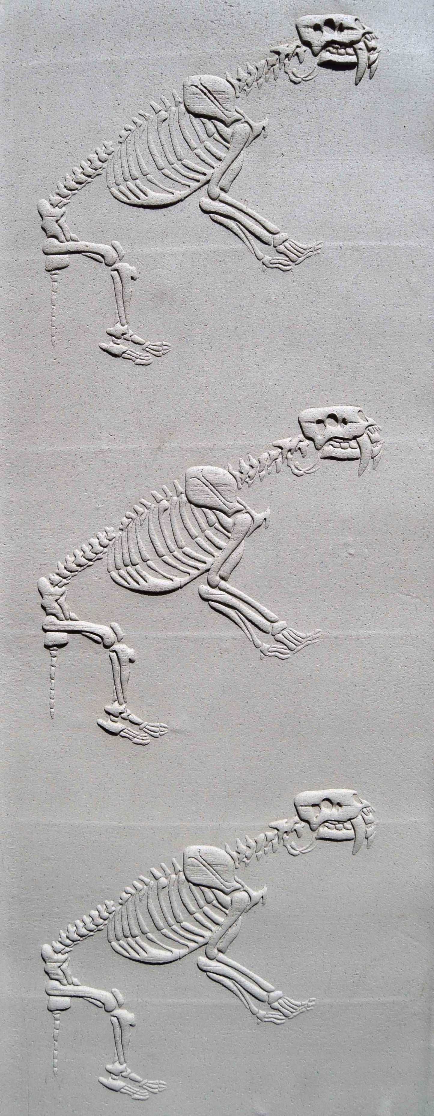 Rodillo Z*Texture - Fósil de Smilodon