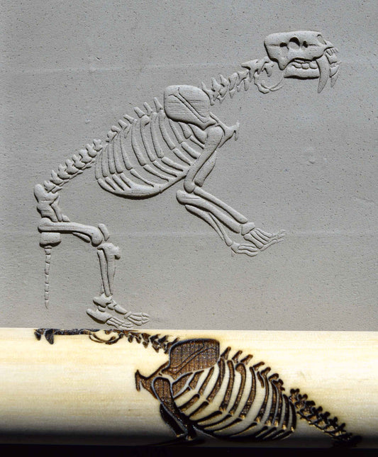 Z*Texture Roller - Fossile de Smilodon