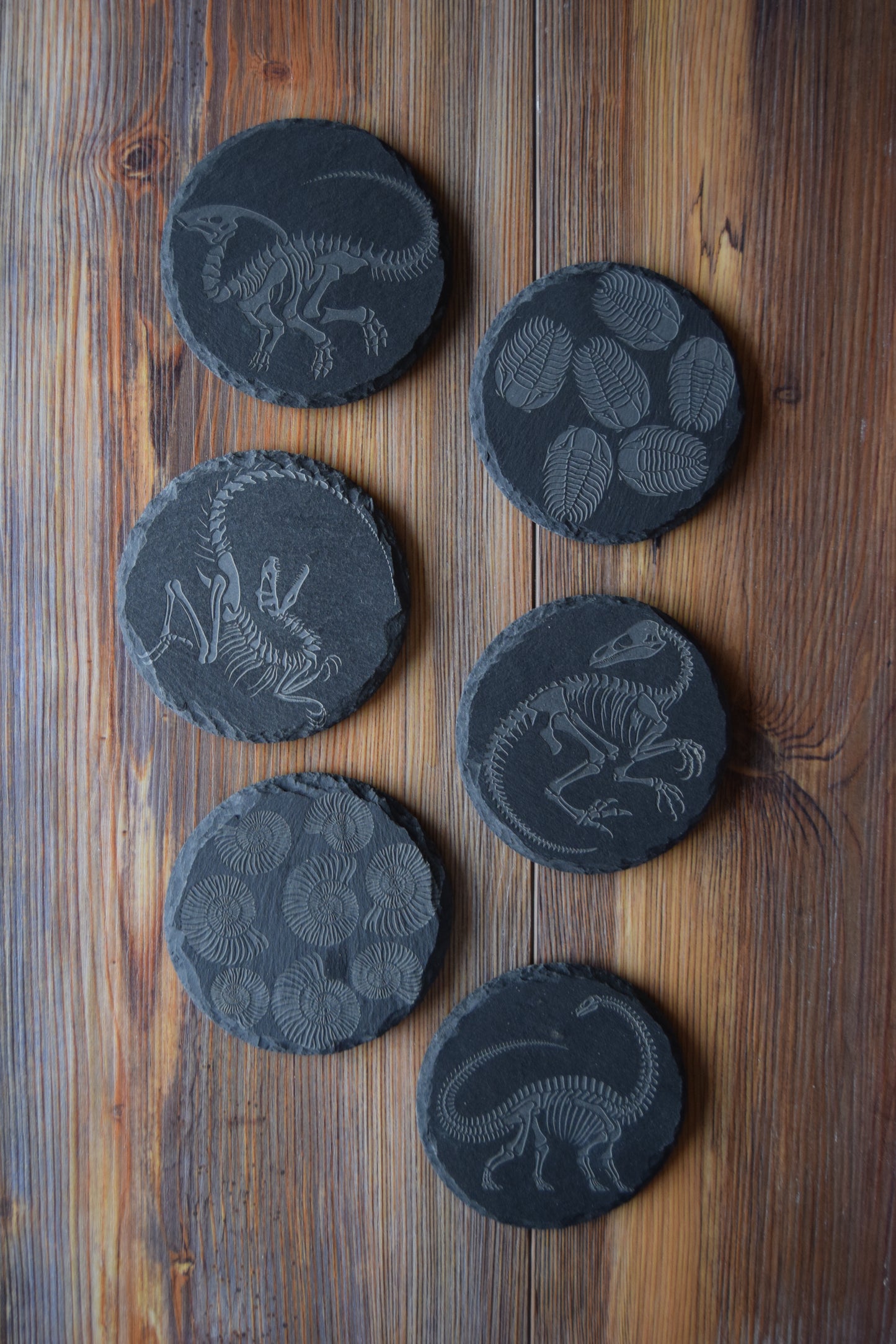 Z* Sous-verres fossiles