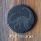 Z* Sous-verres fossiles