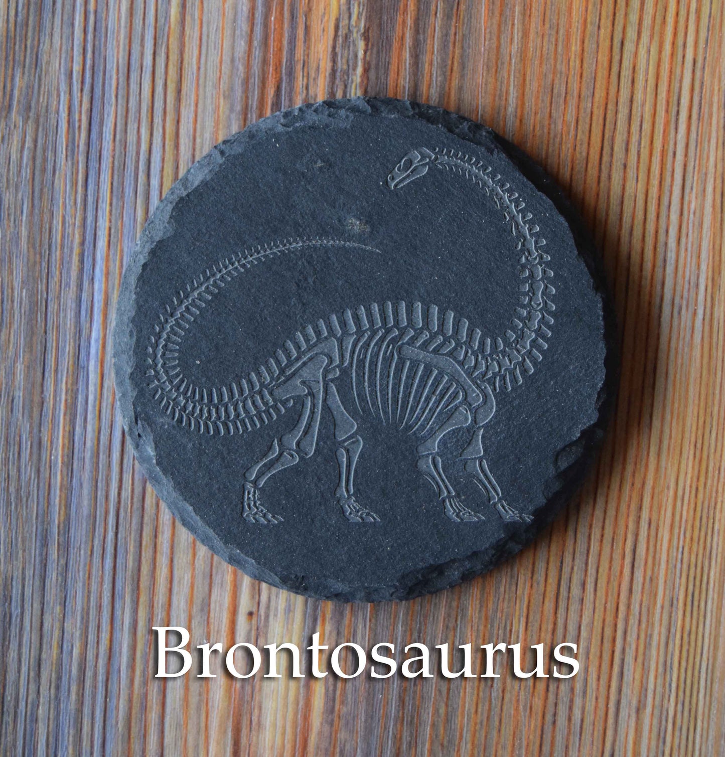 Z* Sous-verres fossiles