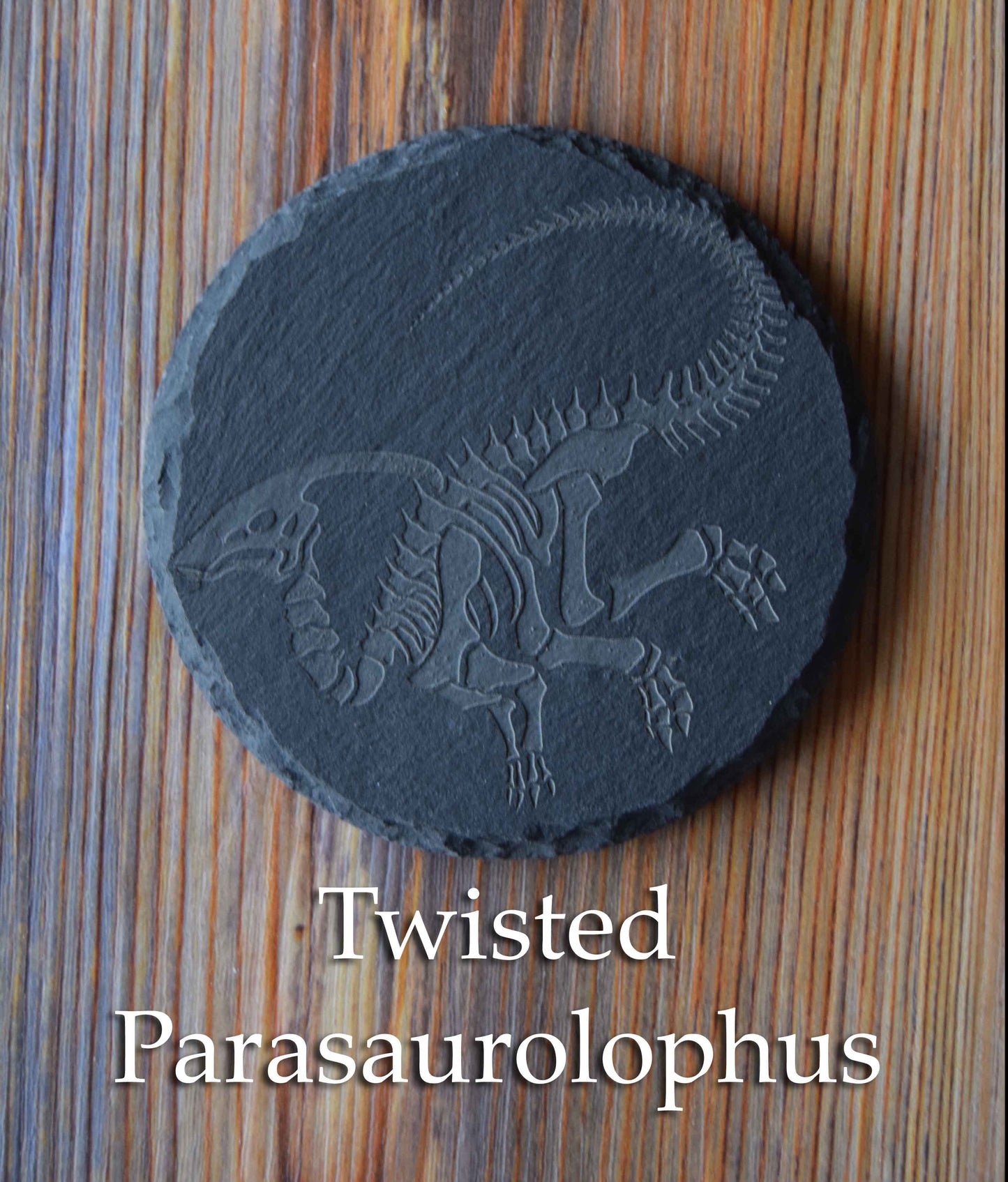 Z* Sous-verres fossiles