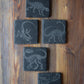 Z* Sous-verres fossiles