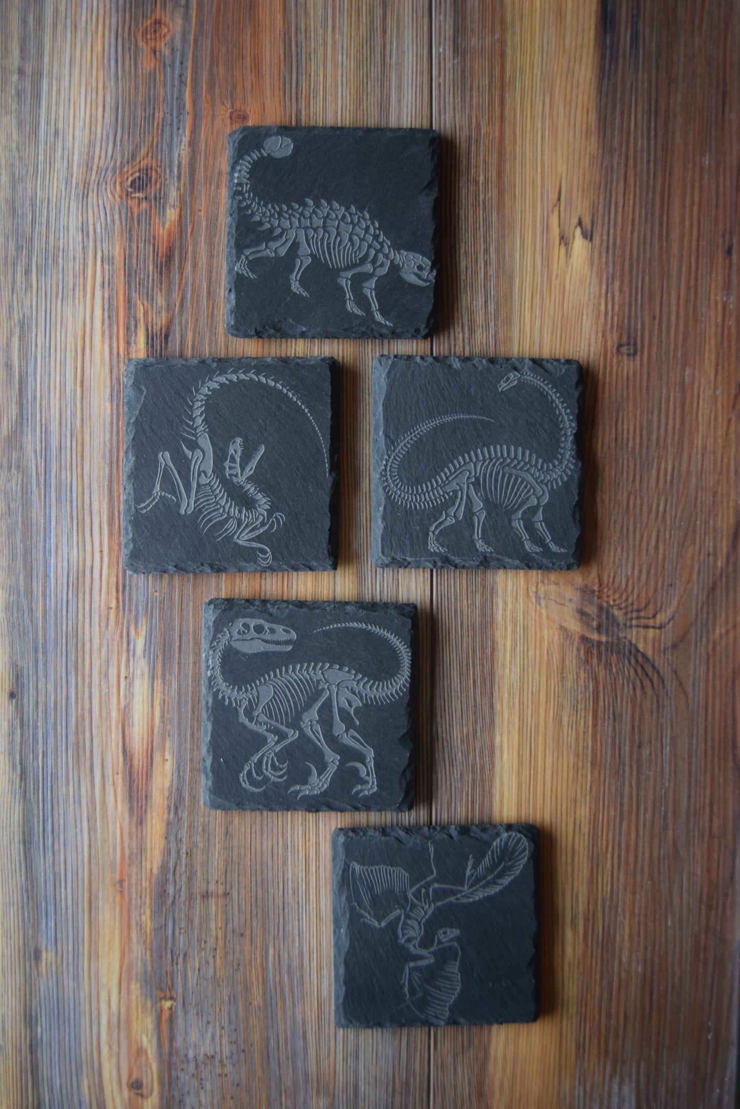 Z* Sous-verres fossiles
